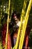 Ankie_2772aw