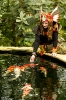 Laura_8484aw